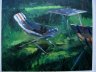 Micia sulla Sdraio - oil on canvas - cm. 40x50 - 2005